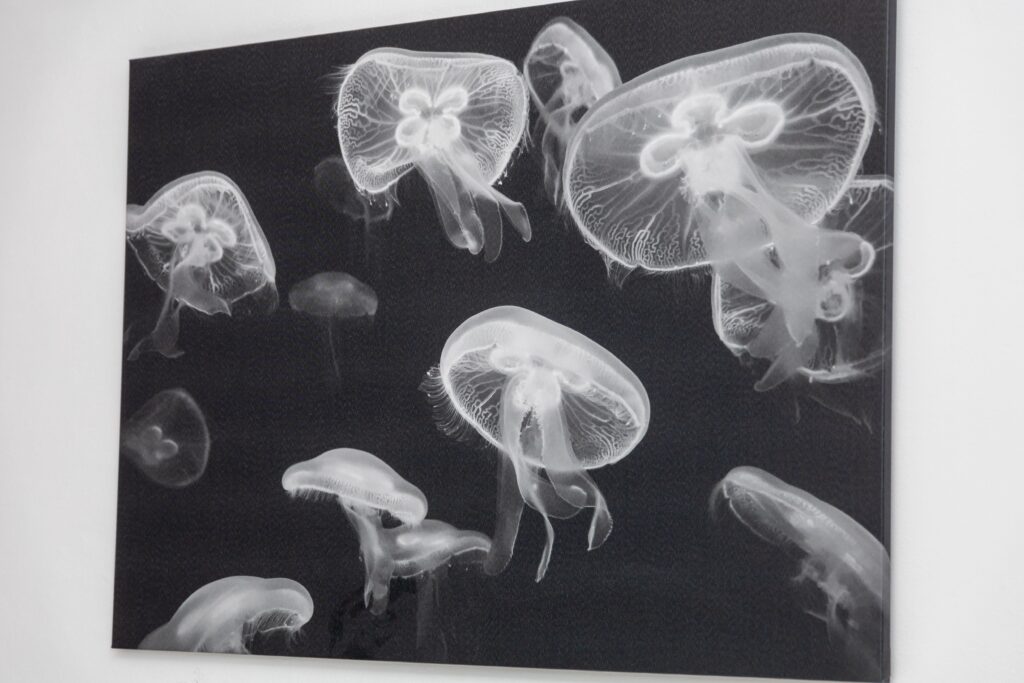 Apartment Wien 7954 | Sky Apartments